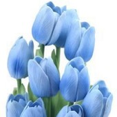 Bon week-end 🤩

#sun #weekend #tulipe #spring #newcollection #shopping #addictfashion #fougerescity #illeetvilaine